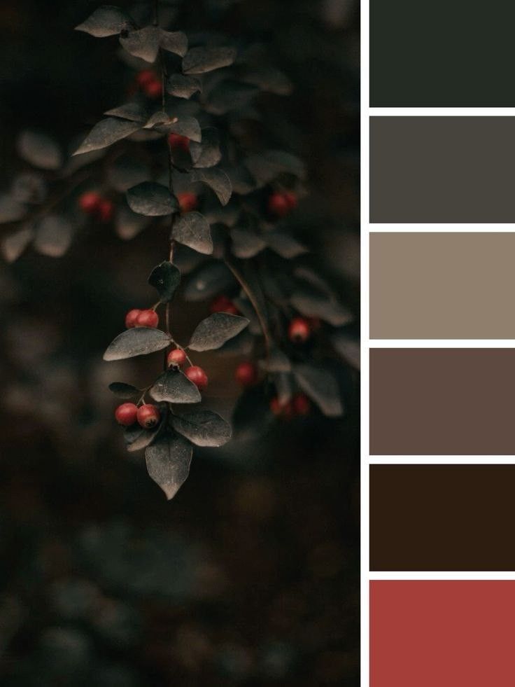 Красивые сочетания цветов глубоких насыщенных оттенков №106