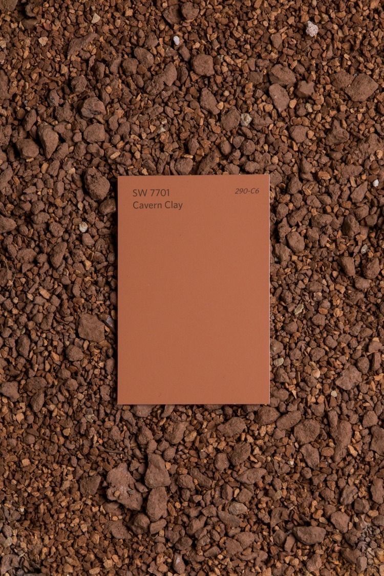 Теплый терракотовый - цвет года 2019 №118