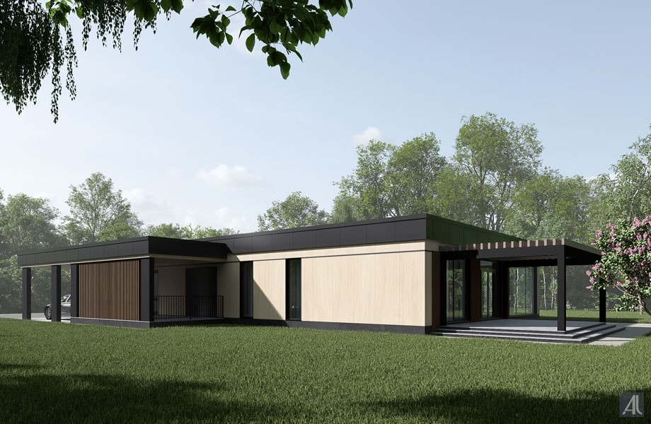 одноэтажный дом в современном стиле в городе мытищи - проект отделки