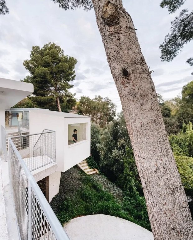 Вид с высоты птичьего полета демонстрирует деликатный подход архитектурного решения - рассредоточенные по участку объемы подобны легким капсулам.